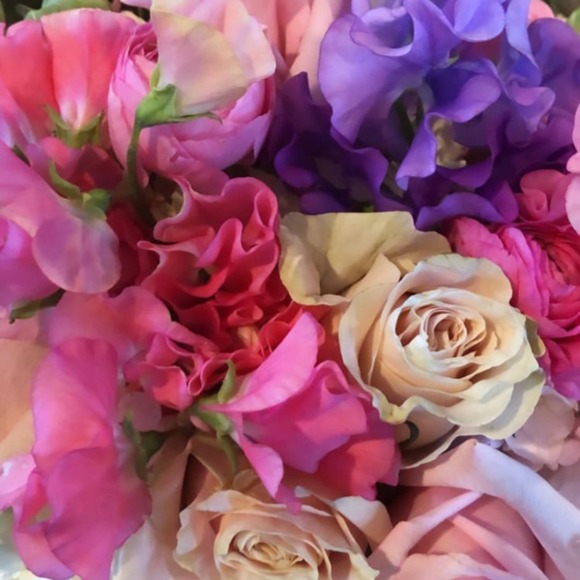 Meet your Posher, Tammy - Picture 1 of 1